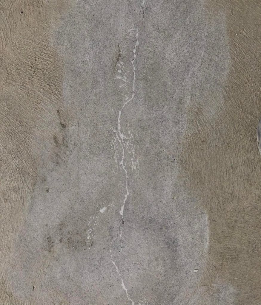 Eastern Treatment Plant Carrum Downs 4